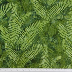 NZ Fern - Green