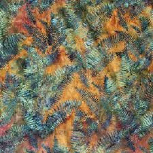 NZ Fern
