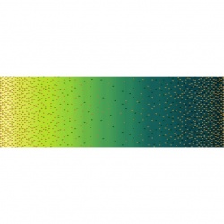 Ombre Border