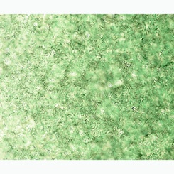 Effervescence