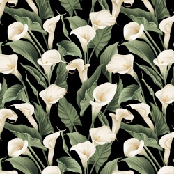 Calla Lily