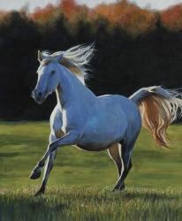 High Horse - Panel