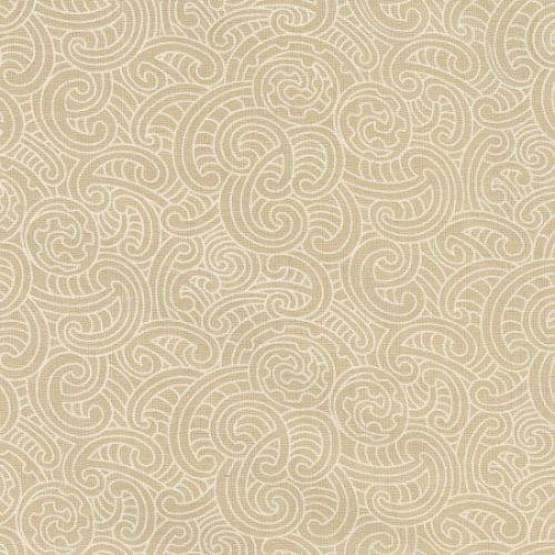 Ponga Koru-Beige