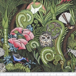 Forest Birds