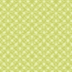 Bloom On