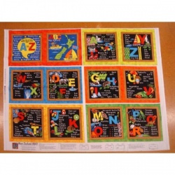 ABC New Zealand book - panel