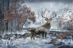 Call of The Wild