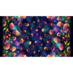 Cosmic Burst