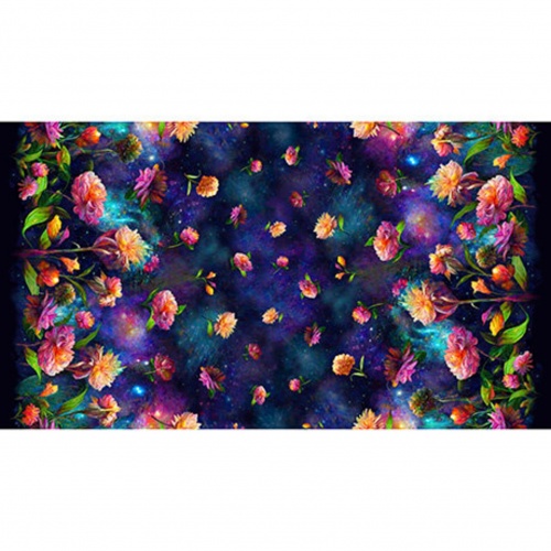 Cosmic Burst