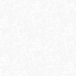 Shadows White