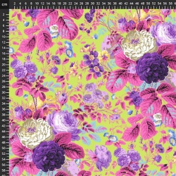 Kaffe Fassett Collective