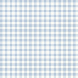 Gingham Weaves