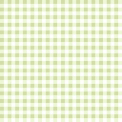 Gingham Weaves