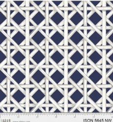 Indigo Song