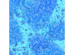 Fairy Frost