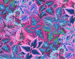 Kaffe Fassett
