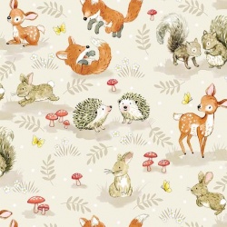 Little Acorns