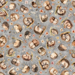 Hedgehogs