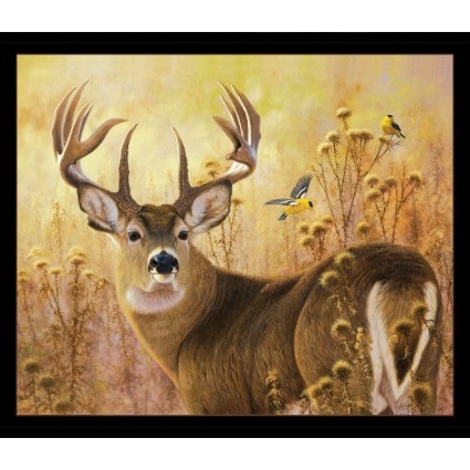 A Buck Stops Here
