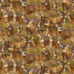 A Buck Stops Here