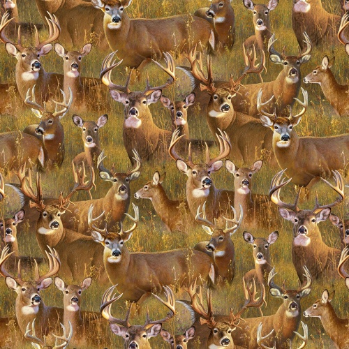 A Buck Stops Here