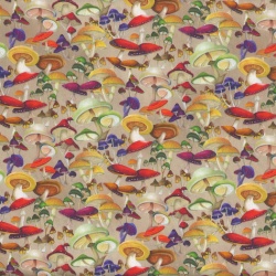 Bird Song
