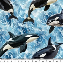 Underwater Wonders