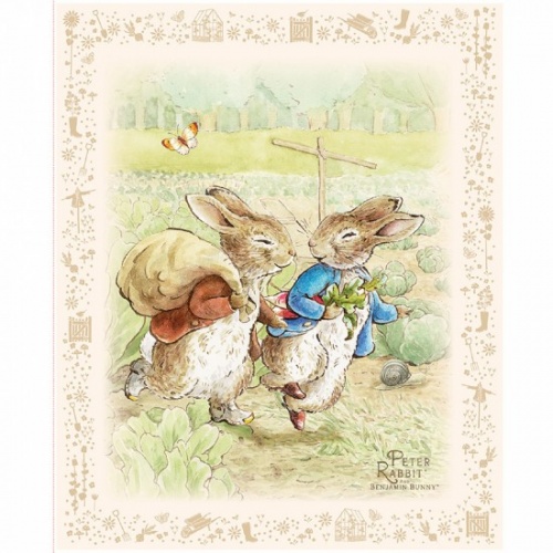 Peter Rabbit and Benjamin Bunny
