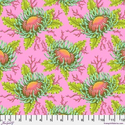 Floral Reef