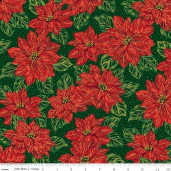 Poinsettias at Christmas